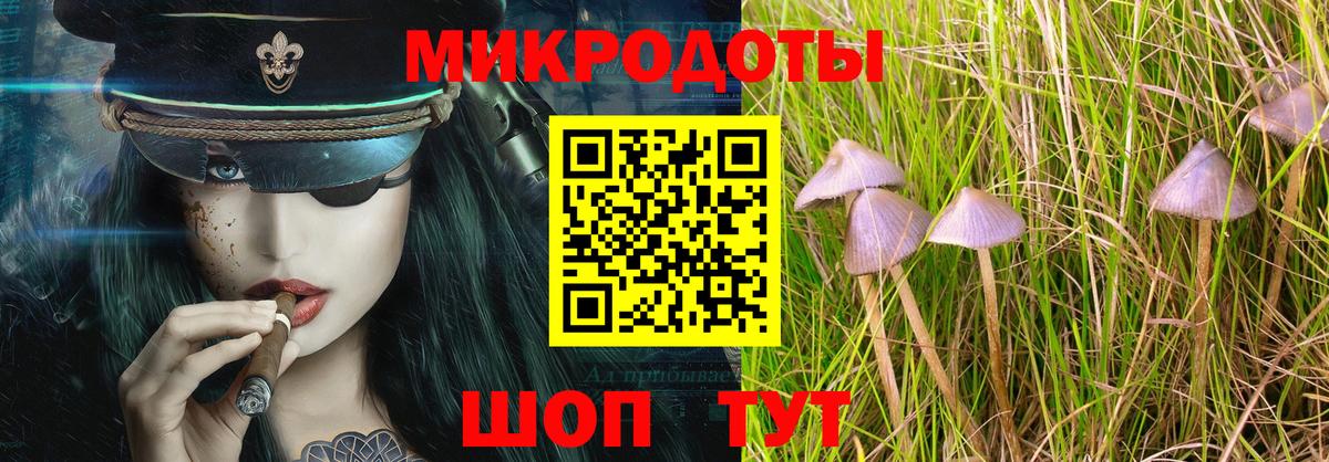 Галлюциногенные грибы Psilocybe  Вход с VPN  Галлюциногенные грибы Psilocybe  Обнинск 