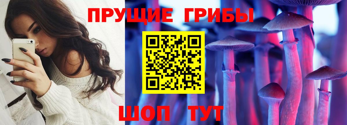 Галлюциногенные грибы Psilocybe Обнинск
